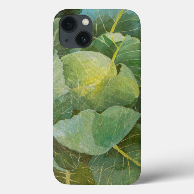 Cabbage (Verso)