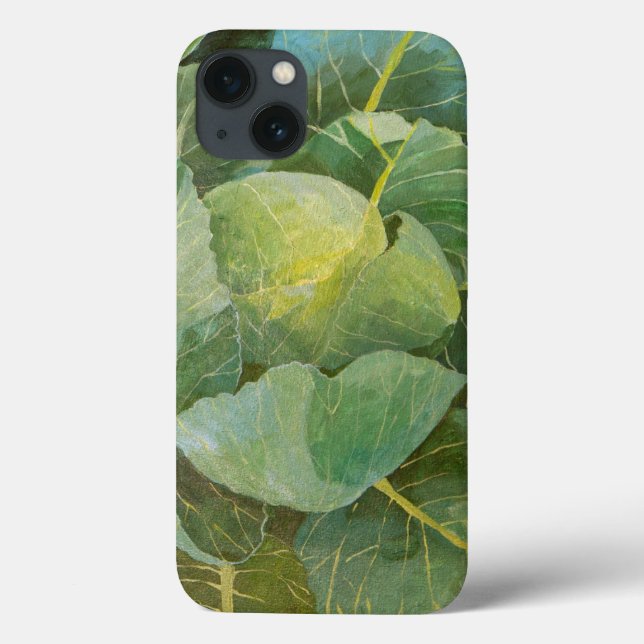 Cabbage (Verso)