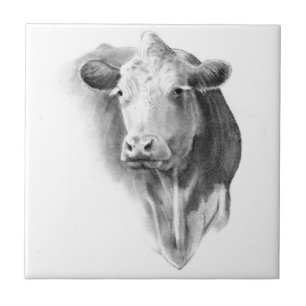 Cabeça da vaca no lápis: Arte do realismo: