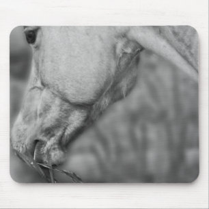 Cabeça de Cavalo B&W ~ Mousepad