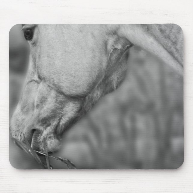 Cabeça de Cavalo B&W ~ Mousepad (Frente)