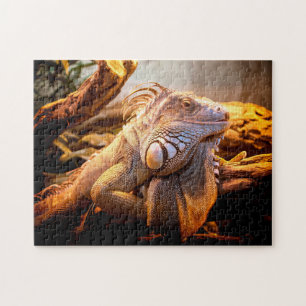 Cabeça de Iguana Fechada, Quebra-cabeça de Jigsa