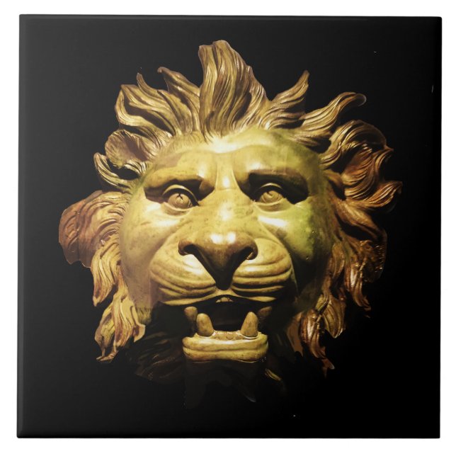 CABEÇA DE LION EM BRONZE Figurehead Navio Antiquad (Frente)