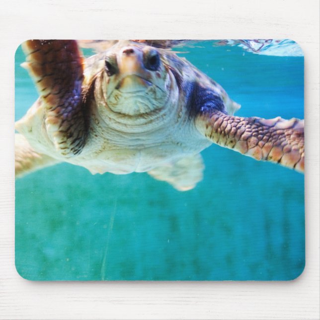 Cabeça de Loggerhead 4 Mousepad (Frente)