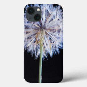 Cabeça de Semente de Dandelion (Taraxacum Officin