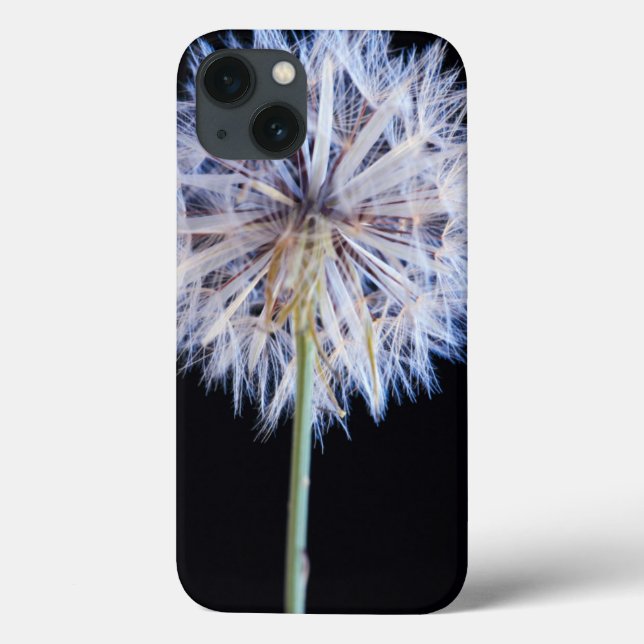 Cabeça de Semente de Dandelion (Taraxacum Officina (Verso)
