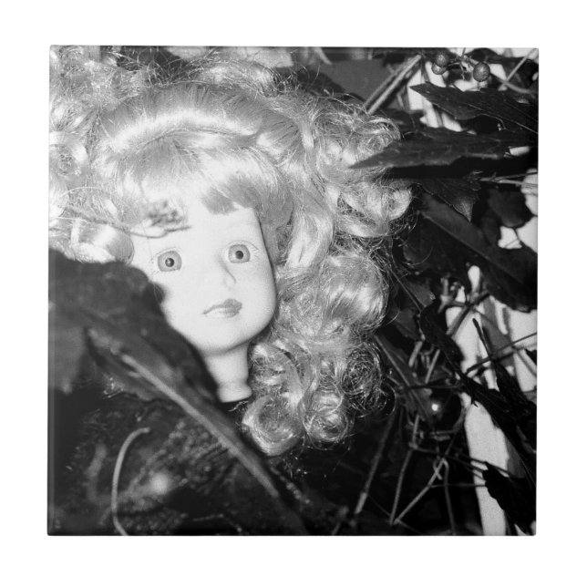 Cabeça de solitário (Frente)