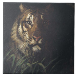 Cabeça de Tiger (por Abott Handerson Thayer)