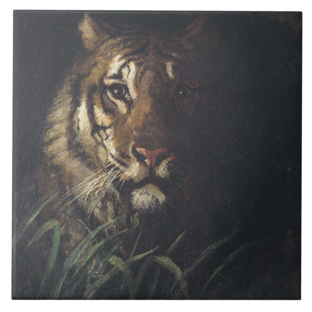 Cabeça de Tiger (por Abott Handerson Thayer) (Frente)