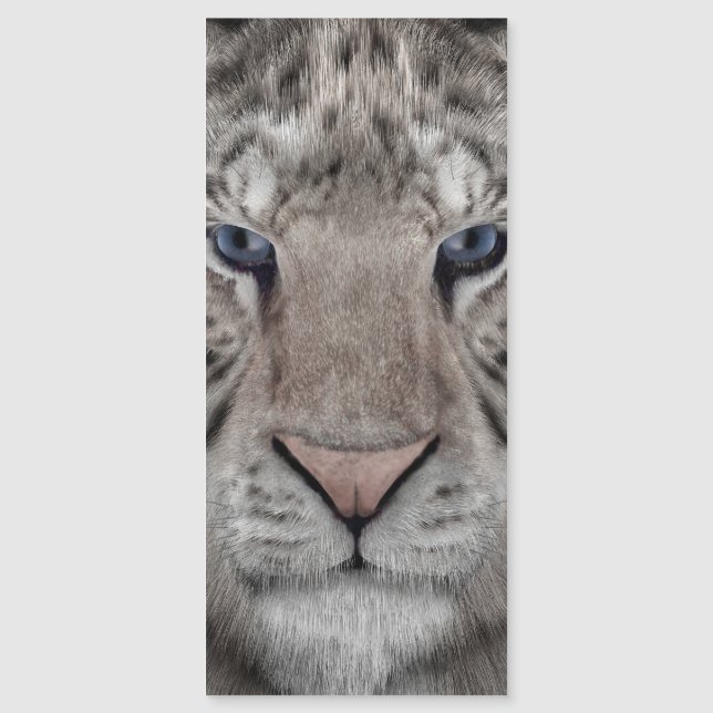 cabeça_de_tigre_branco (Frente)