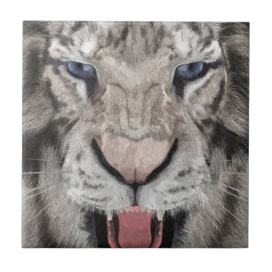 Cabeça de Tigre Branco Estética da Vida Selvagem
