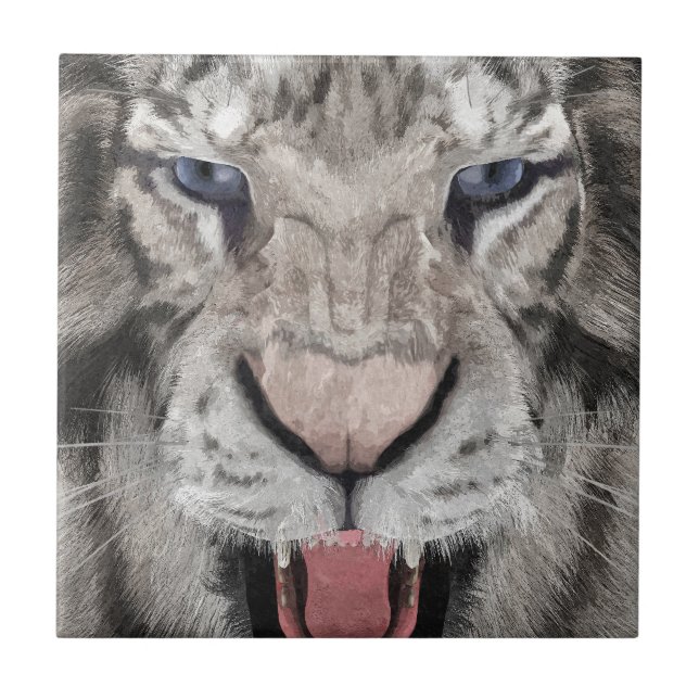 Cabeça de Tigre Branco Estética da Vida Selvagem (Frente)