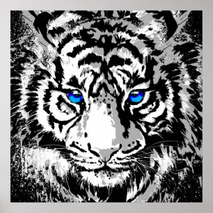 Cabeça de Tigre Branco Siberiana - Praça Poster Ti