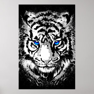 Cabeça de Tigre Branco Siberiano - Poster de Tigre