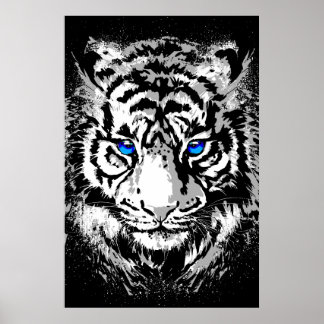 Cabeça de Tigre Branco Siberiano - Poster de Tigre