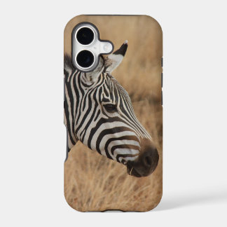 Cabeça de Zebra