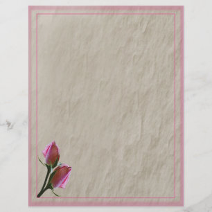 Cabeçalho cor-de-rosa dos rosas