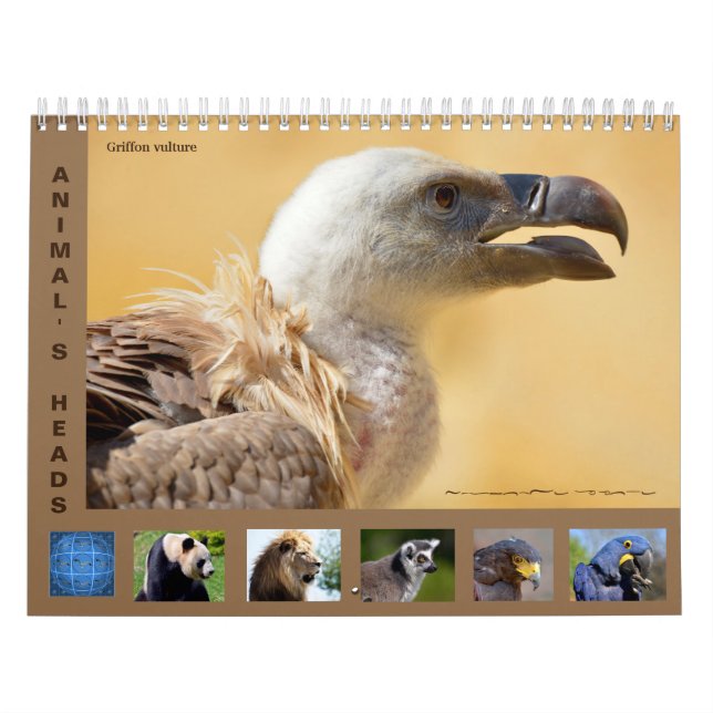 Cabeças de animais: calendário de 12 meses (Capa)