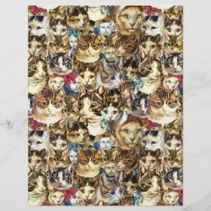 Cabeças de gato 8,5x11 papel raspado, senhora de g