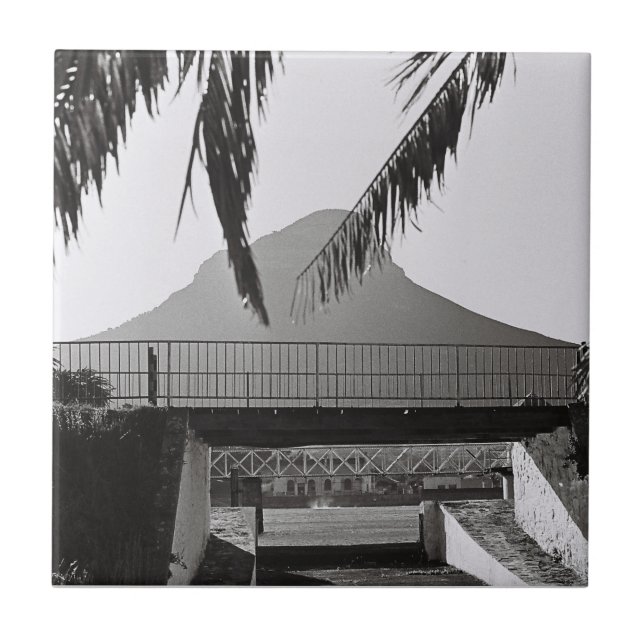 Cabedeira do Leão da Cidade do Cabo ZA África do S (Frente)