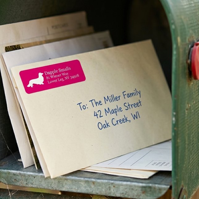 Cabelo Longo Dachshund | Etiqueta de Endereço de D (Long Hair Dachshund | Pink Return Address Label)