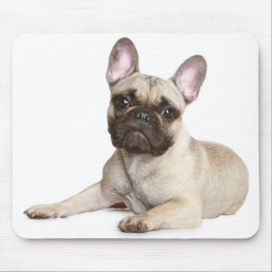 Cabelo Mousepad De Cachorro Francês