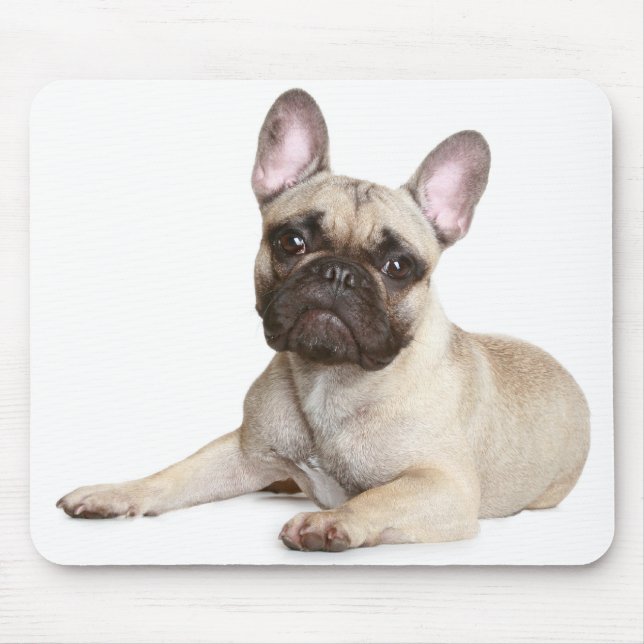 Cabelo Mousepad De Cachorro Francês (Frente)