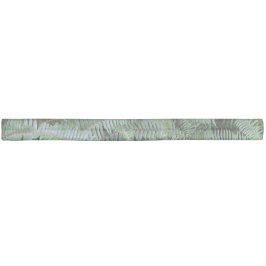 Cabelo Torneio Elástico de Fern Verde