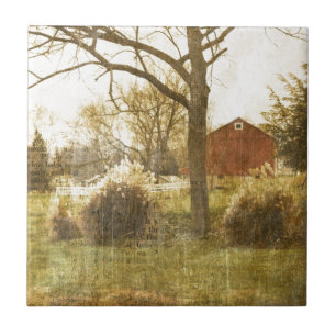 Cabina Vermelha Fazenda de Árvore Primitiva na Flo