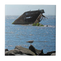 Cabo May Shipwreck