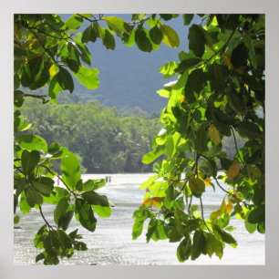 Cabo Tribulação - Poster da Austrália