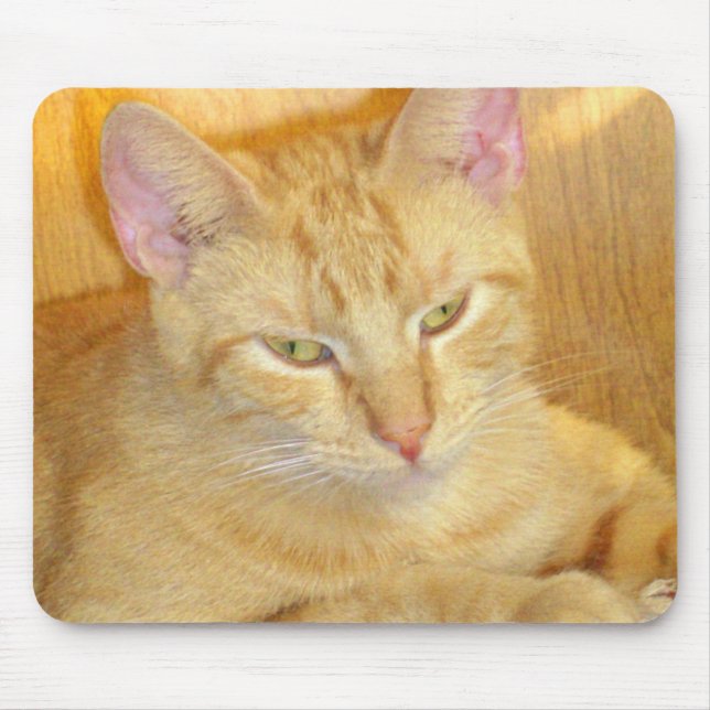 Cabos De Meia 15 Mousepad (Frente)