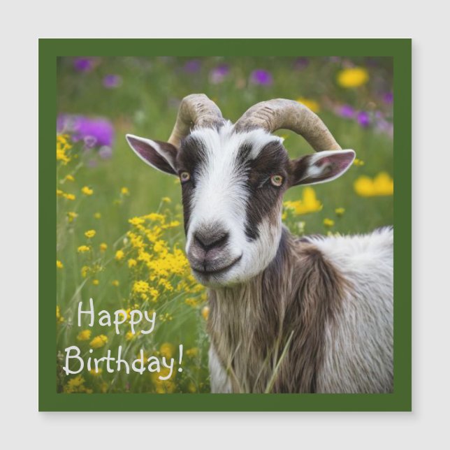 Cabra Bonita (Frente)