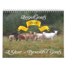 Cabra Calendário Lindos Caprinos AngelGoats
