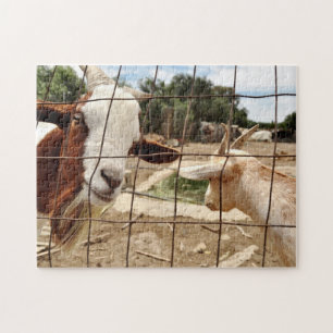 Cabra curiosa - quebra-cabeça