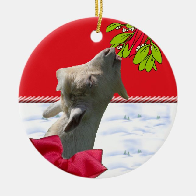 Cabra que come enfeites de natal do visco (Frente)