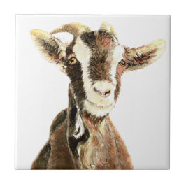 Cabra Velha Fofa, Humor de Animal de Fazenda