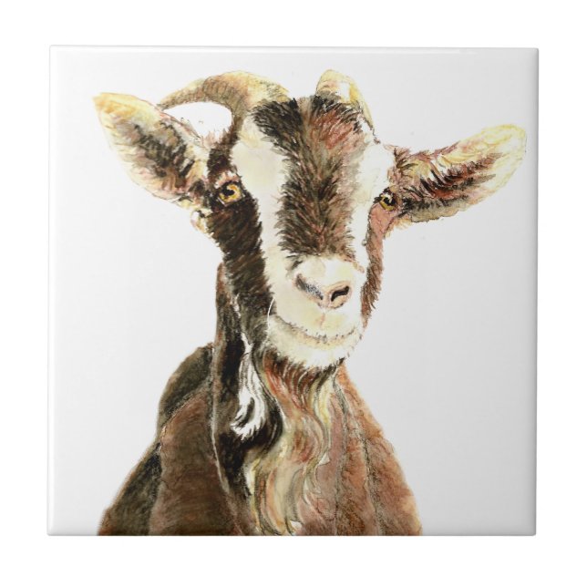 Cabra Velha Fofa, Humor de Animal de Fazenda (Frente)