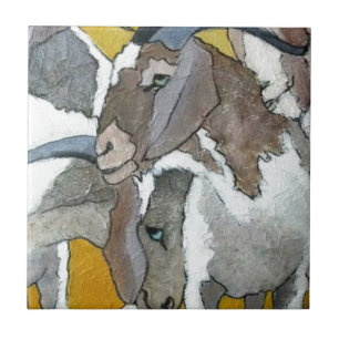 Cabras bonitos que afagam