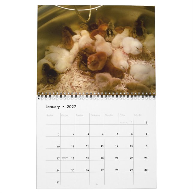 Cabras e calendário 2013 das aves domésticas (Jan 2027)