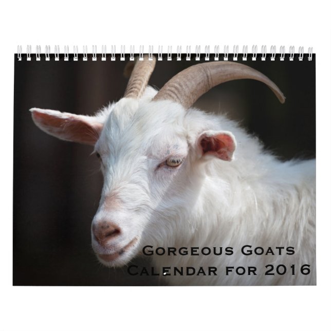 Cabras lindos calendário de 12 meses para 2016 (Capa)