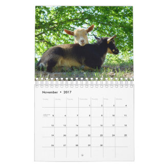 Cabras no calendário da fazenda da grama KNS