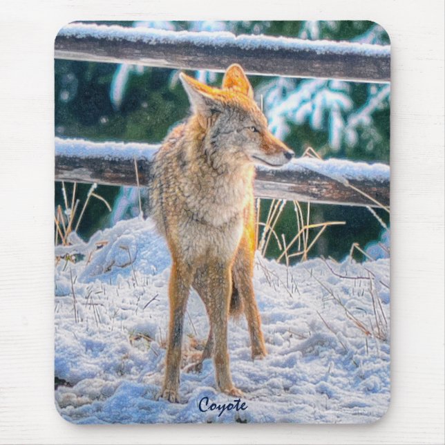 Caça a Coyote na Neve #Gift Mousepad (Frente)