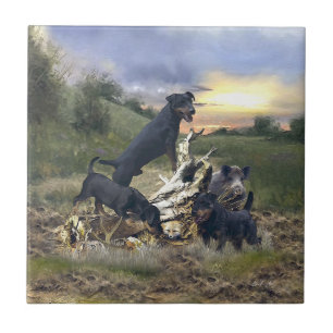 Caça alemã Terrier (Jagdterrier)