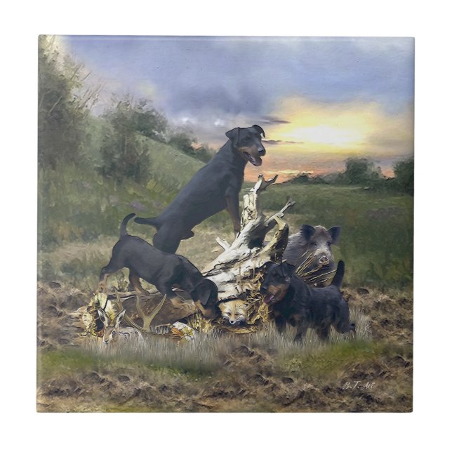 Caça alemã Terrier (Jagdterrier) (Frente)