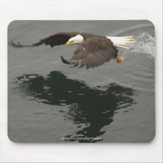Caça ao Mousepad da águia careca