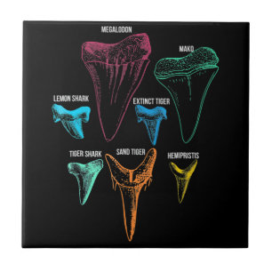Caça aos dentes de tubarão - Presentes de tubarão 