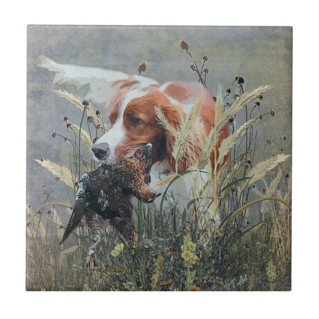 Caça com Epagneul Breton (Frente)