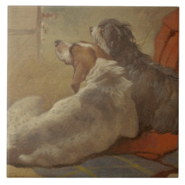 Caça e Collie (Dois Cães)