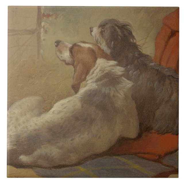 Caça e Collie (Dois Cães) (Frente)